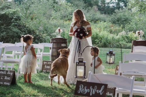 Wedding photos with babies or kids are most adorable
