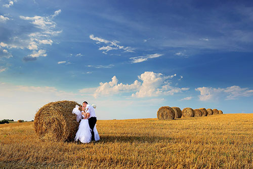 Field or farm can be great inexpensive wedding venue