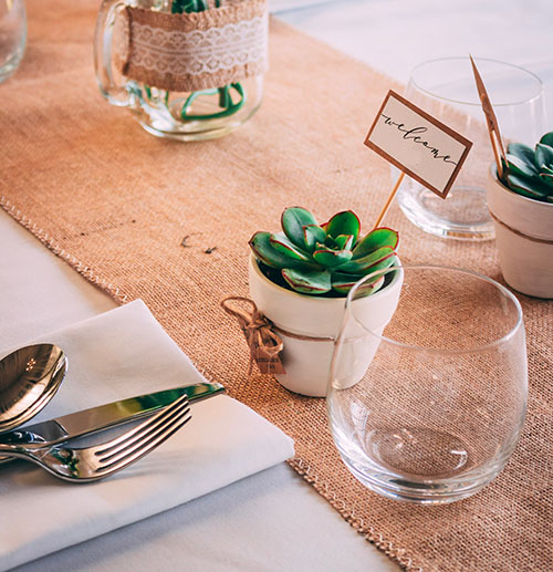 Potted plants as wedding table centerpiece
